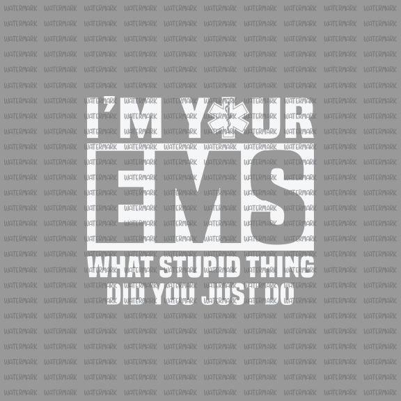 EMT/ EMS- I'm Your EMS What Stupid Thing Did You Just Do -DTF Transfer